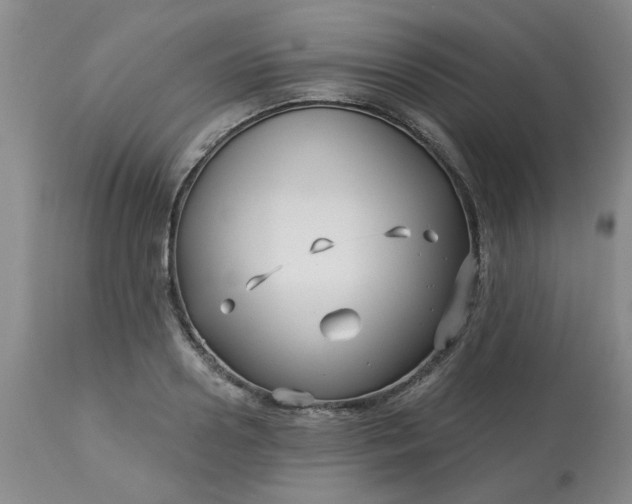 X0000113120938200909111136