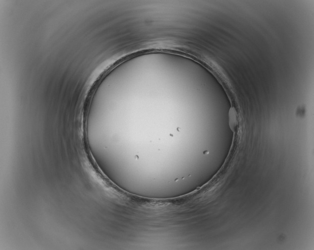 X0000113120939200909111136