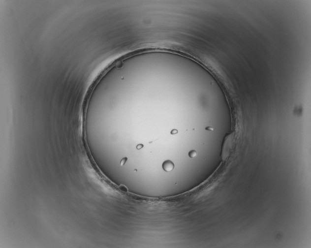 X0000113120940200909111136