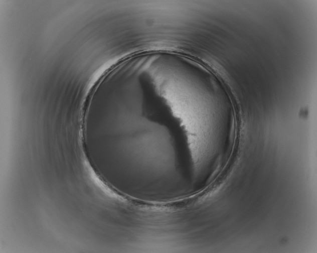 X0000113120941200909111136