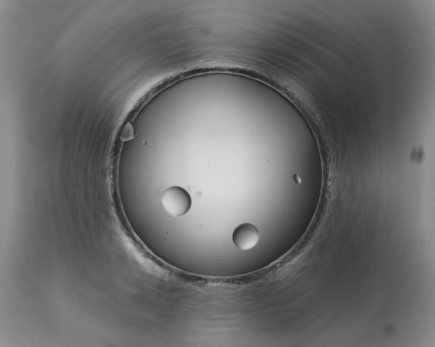 X0000113120942200909111136