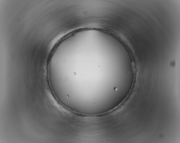 X0000113120944200909111136