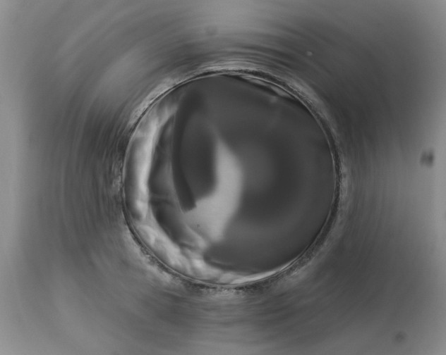 X0000113120945200909111136