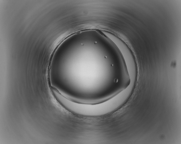 X0000113120946200909111136