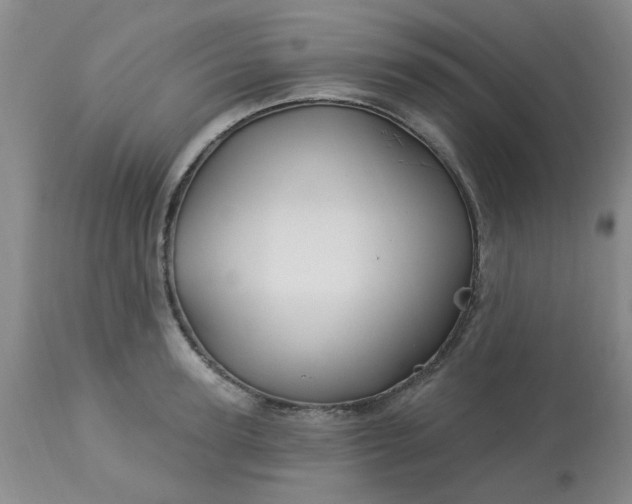 X0000113120947200909111136