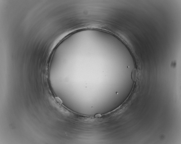 X0000113120948200909111136