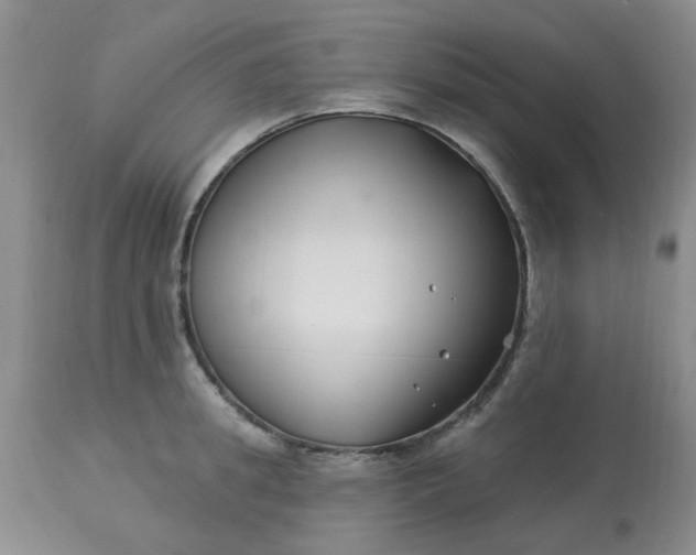 X0000113120949200909111136