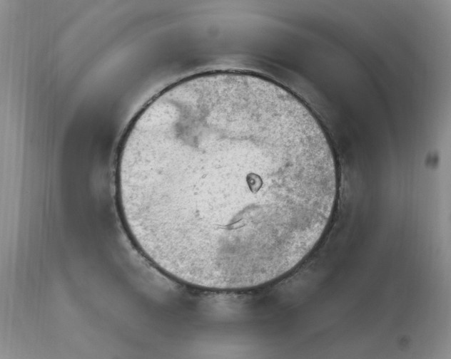 X0000113120950200909111136