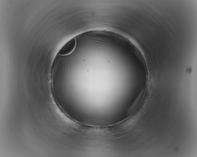 X0000113120951200909111136