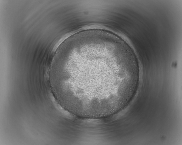 X0000113120953200909111136