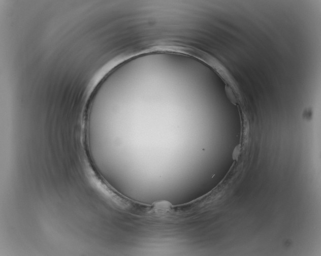 X0000113120955200909111136