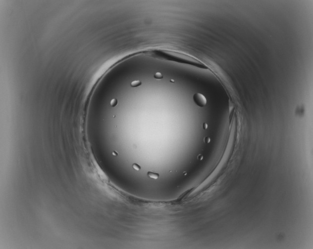 X0000113120956200909111136