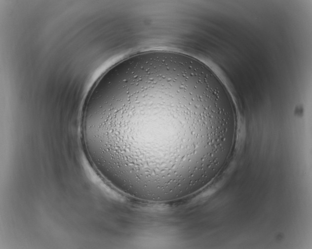 X0000113120957200909111136