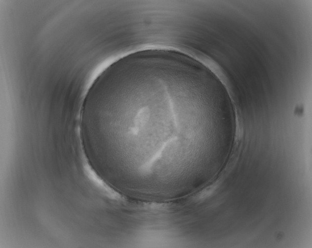 X0000113120958200909111136