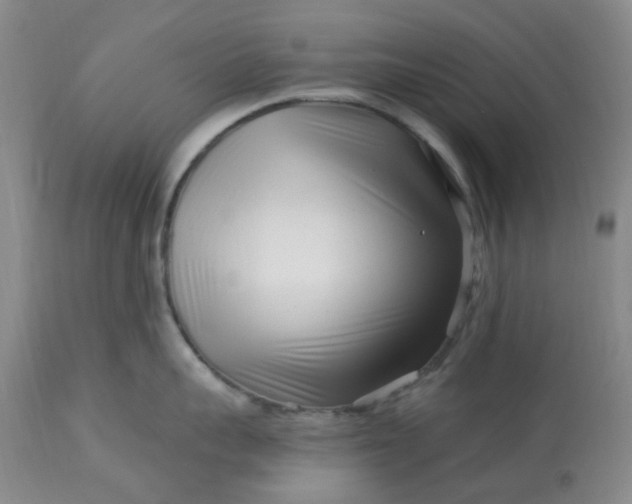 X0000113120959200909111136