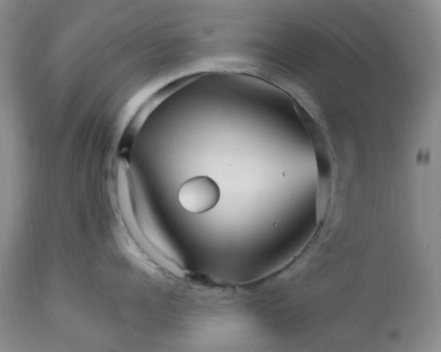 X0000113120960200909111136