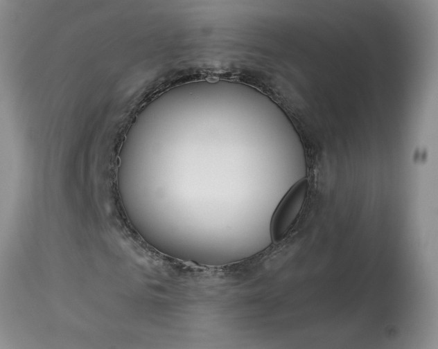 X0000113120961200909111135