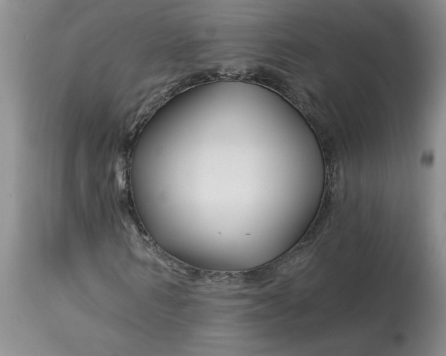 X0000113120962200909111135