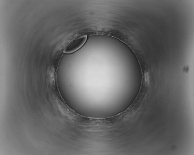 X0000113120963200909111135