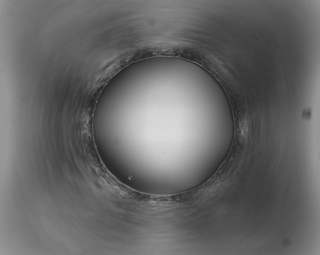 X0000113120964200909111135