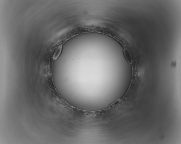 X0000113120965200909111135