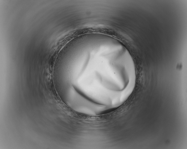 X0000113120966200909111135