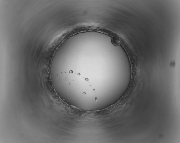 X0000113120967200909111135