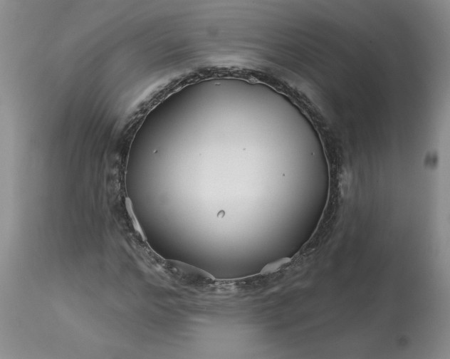 X0000113120968200909111135