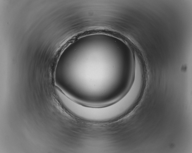 X0000113120969200909111135