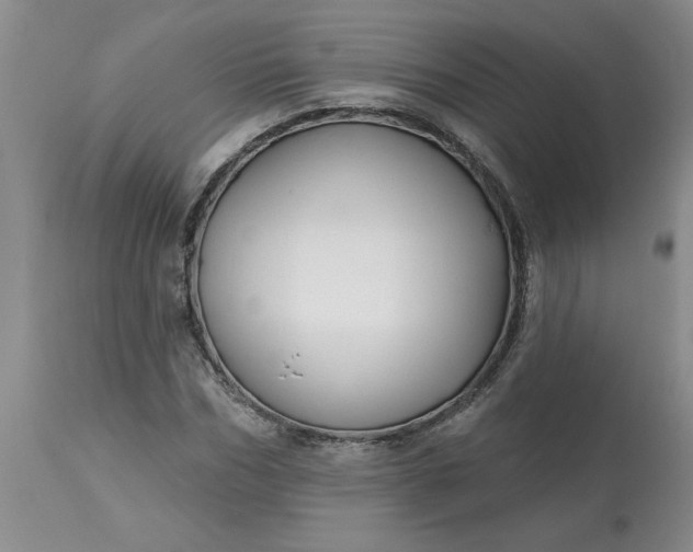 X0000113120970200909111135