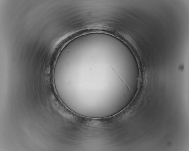 X0000113120971200909111135