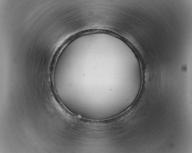 X0000113120972200909111135