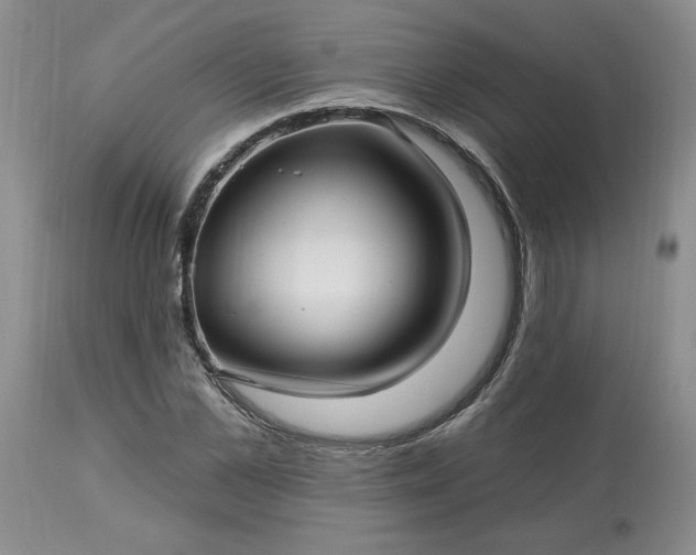 X0000113120973200909111135