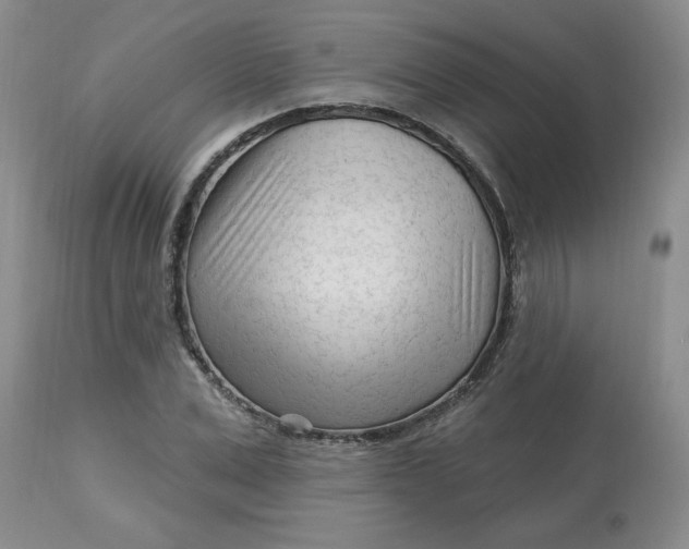 X0000113120975200909111135