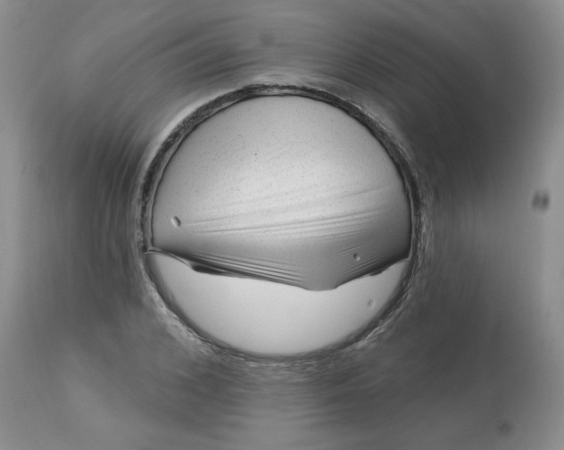 X0000113120976200909111135