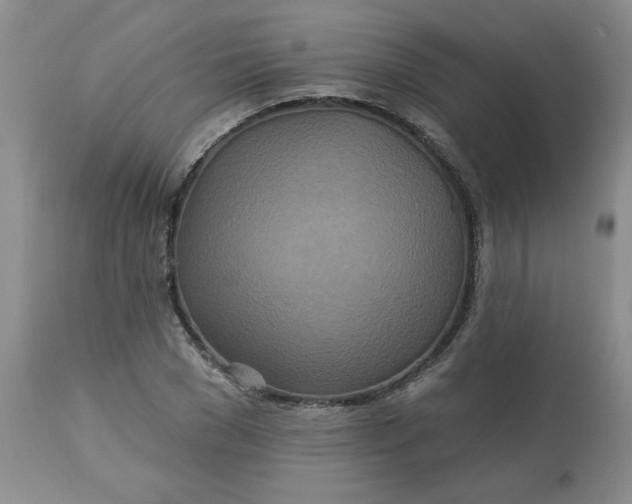 X0000113120977200909111135