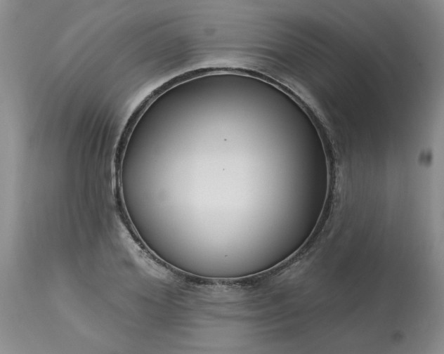 X0000113120980200909111135