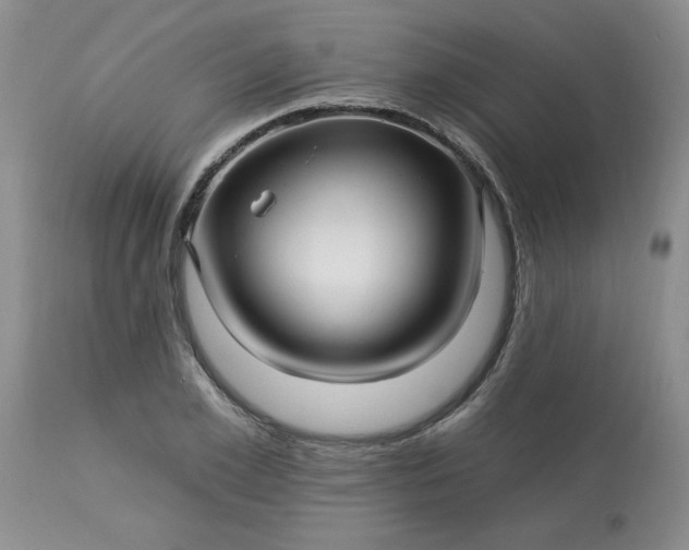 X0000113120981200909111135