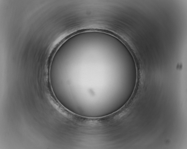 X0000113120982200909111135