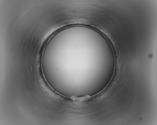 X0000113120983200909111135