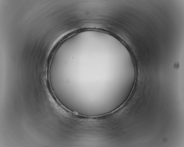 X0000113120984200909111135