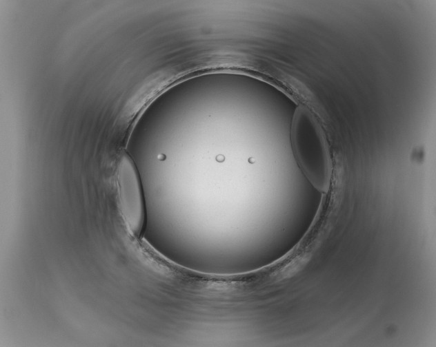 X0000113120985200909111135