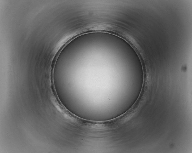 X0000113120986200909111135