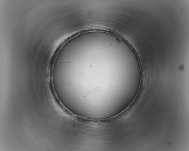 X0000113120987200909111135