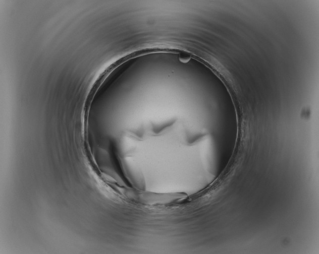 X0000113120988200909111135