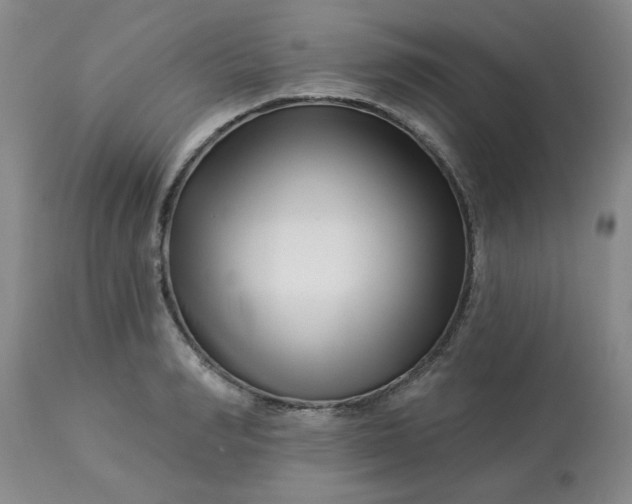 X0000113120990200909111135