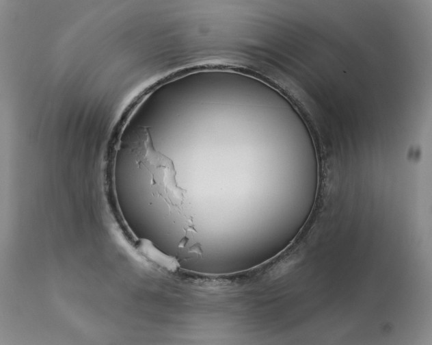 X0000113120991200909111135