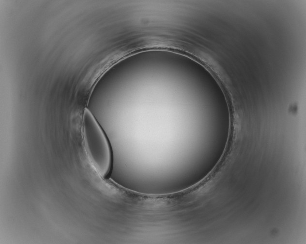 X0000113120993200909111135