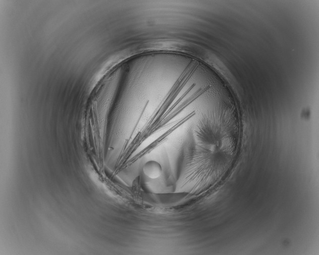 X0000113120994200909111135