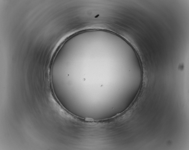 X0000113120996200909111135